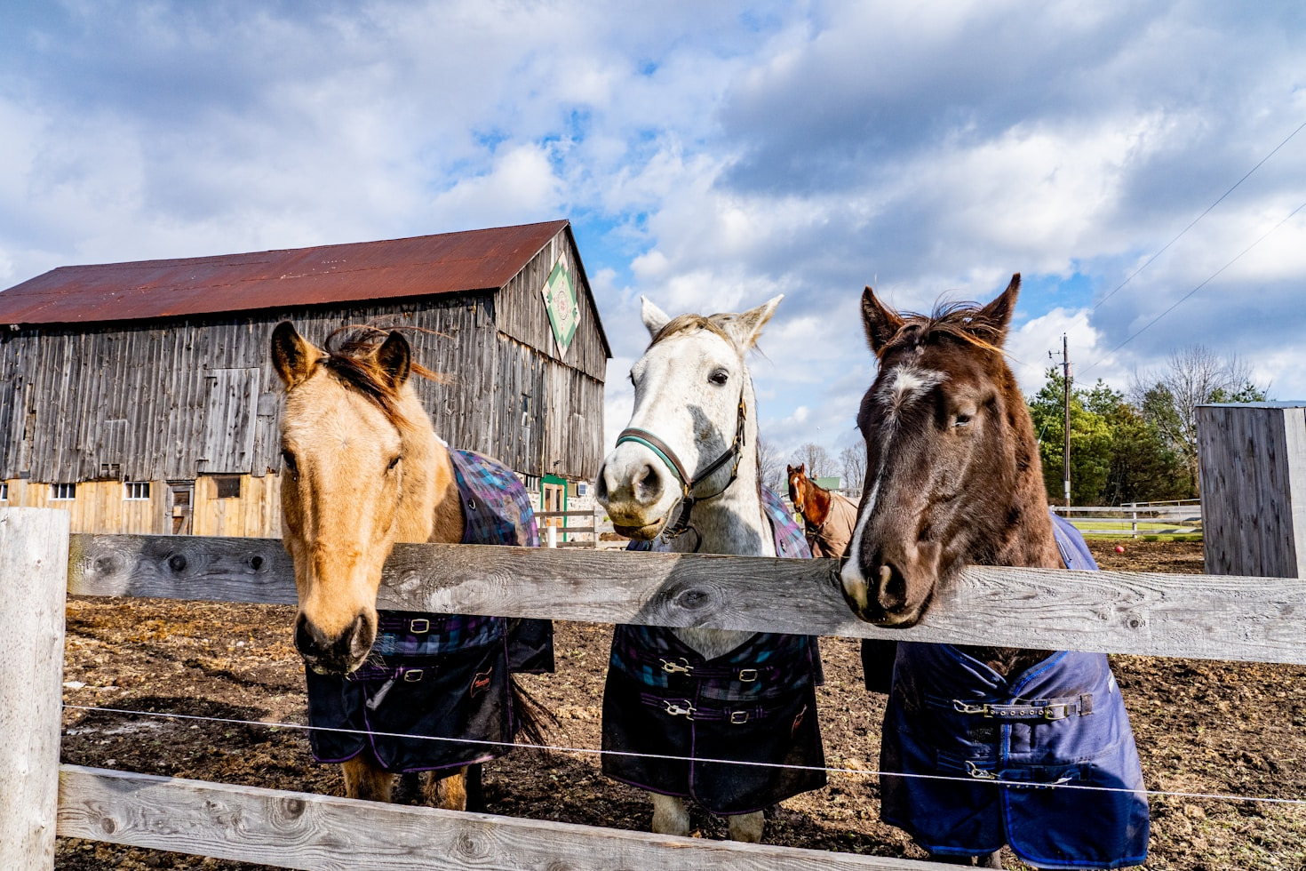 Lessons Learned from Life on a Small Farm