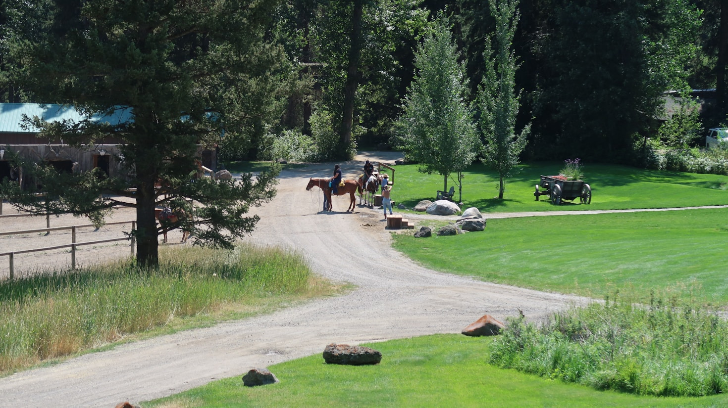Why I Chose a Life Among Horses